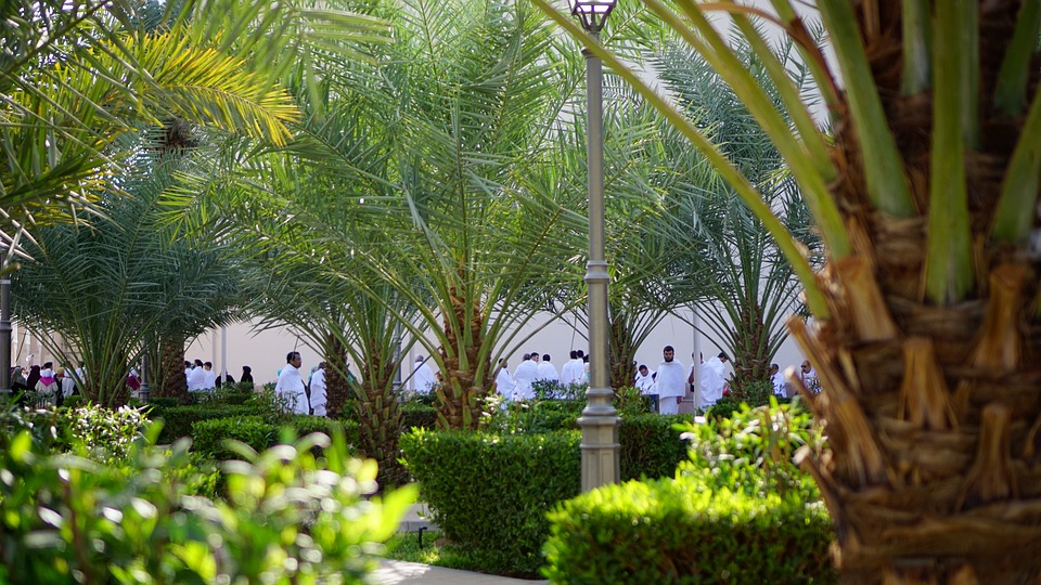 Avant d’entrer dans la Terre sacrée : Que faire au mîqât pour réussir son Hajj ou sa ‘Umrah